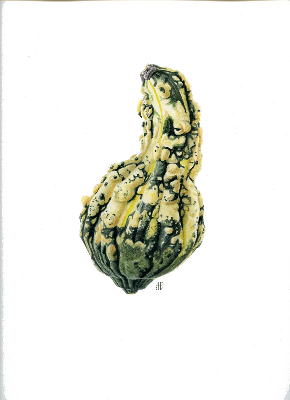 Decorative gourd